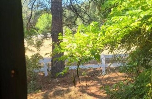 Rackerby House | Private Room in House w Heated Pool, Hot Tub, Sauna, Game Room, Beautiful Nature