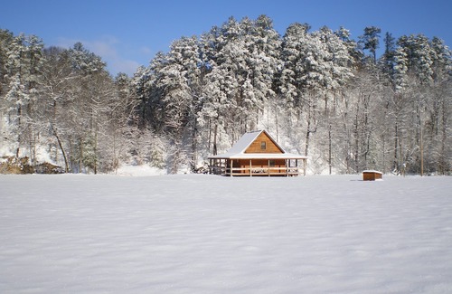 Pine Ridge Cabin | Private secluded peaceful cabin