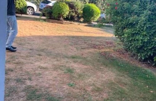 Surrey Newton Apartment | Private suite, separate entrance, central location