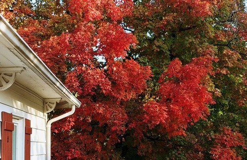 Emporia Apartment | Private Upper Deck surrounded by flower and vegetable gardens. Pet friendly