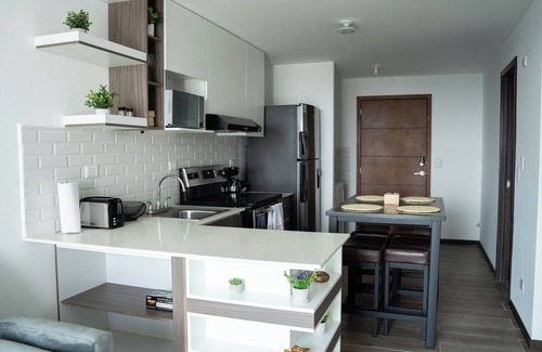 Zona 14 Apartment | Professionally Decorated, Brand New Pet-Friendly Apartment.