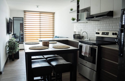 Zona 14 Apartment | Professionally Decorated, Brand New Pet-Friendly Apartment.