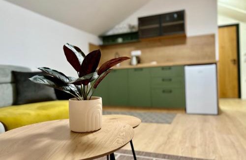 Pirot Apartment | Promo Apartman