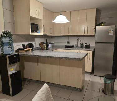 Bellavista Apartment | Providencia Hermoso Departamento Turistico y Central Estacionamiento Gratis