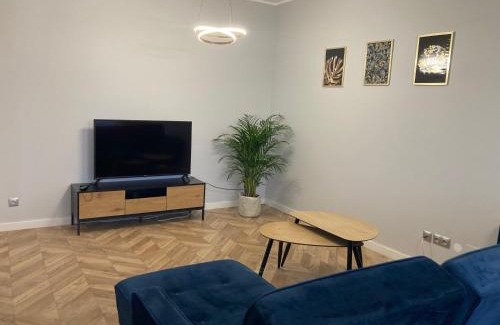 Ostrow Wielkopolski Apartment | Przestronny Apartament