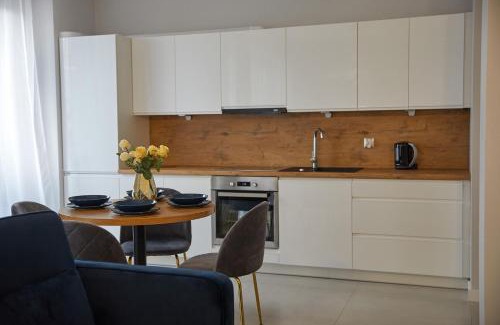 Ostrow Wielkopolski Apartment | Przestronny Apartament