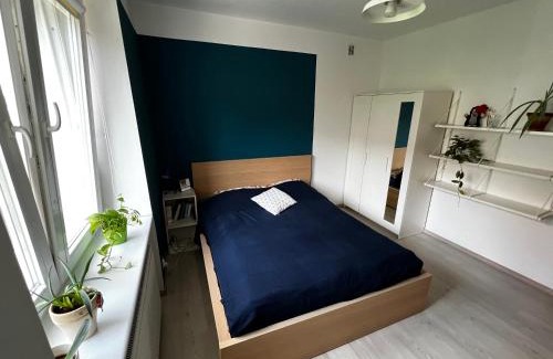 Siedlce Apartment | Przyjazne mieszkanie w centrum Gdańska