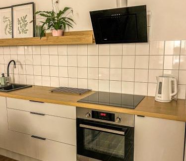 Wielen Apartment | Przytulny Apartament Mickiewicza 14/2