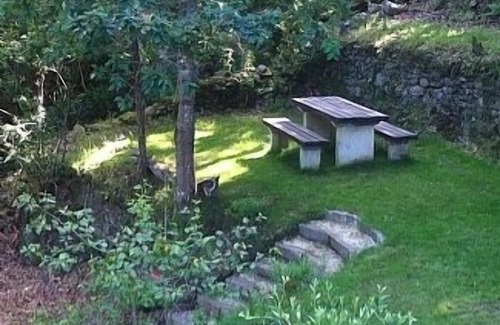 Covas Cottage | Tree Top Cottage For Holidays In Covas,Vila Nova De Cerveira