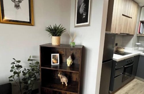 Pucon Apartment | Pucón Dpto Comodo y Excelente Ubicación