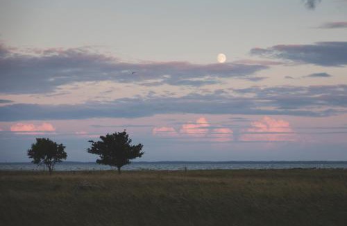 Haapsalu House | Puise Nina Guest House