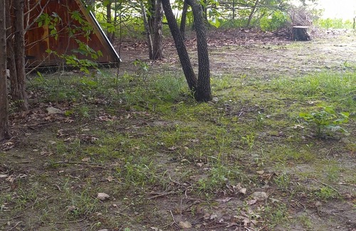 Elkland RV Rental | Pullin On Over @B Berry Farms