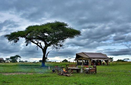 Serengeti National Park Other | Pumzika Luxury Safari Camp