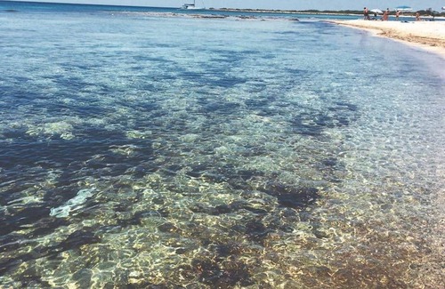 Specchiarica Villa | Punta Prosciutto, Torre Lapillo,