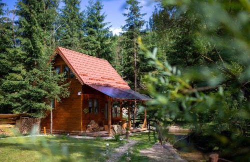 Belis House | Pura Vida Forest Home