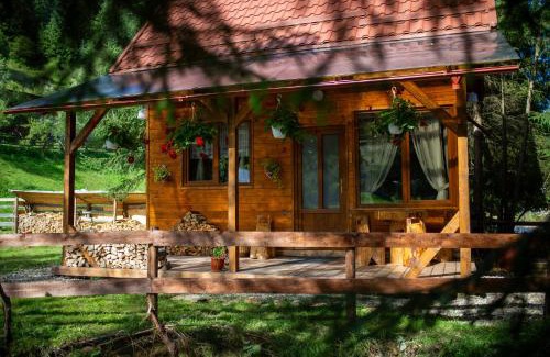 Belis House | Pura Vida Forest Home