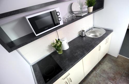 Zwierzyniec Apartment | Pure Apartments Kraków