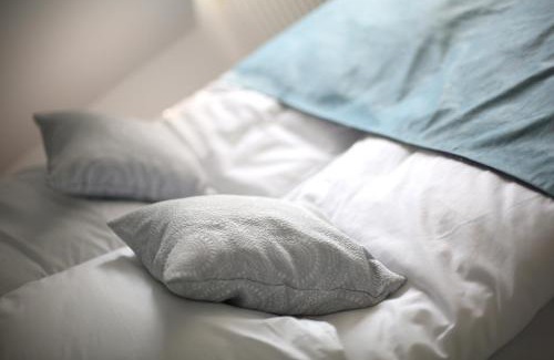 Zwierzyniec Apartment | Pure Apartments Kraków