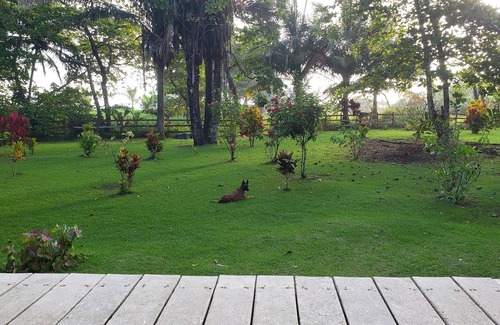 Carate Cabin | Pure Nature, 3 kilometers away from Corcovado Park, La Leona Station