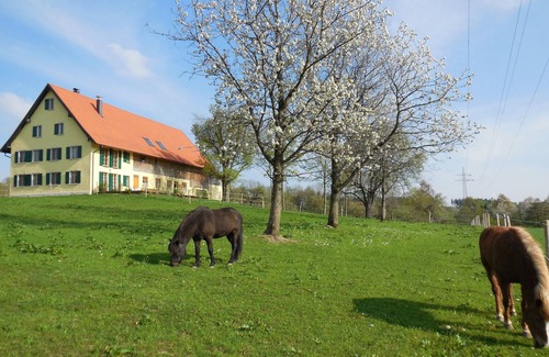 Bad Waldsee Apartment | Pure relaxation - beautiful apartment in a fantastic location.