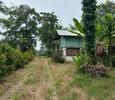 Golaghat House | Purple Orchid