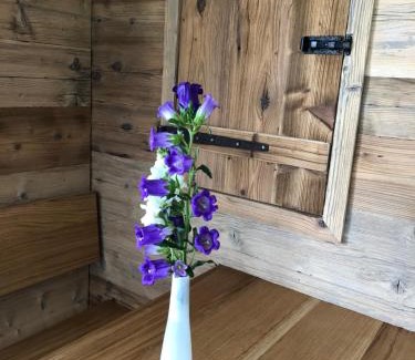 Oberreute Apartment | Pusteblume