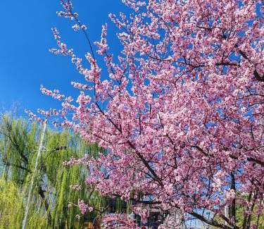 Chanhe Hui District Hotel | Qichi Waterfront B&B Hotel