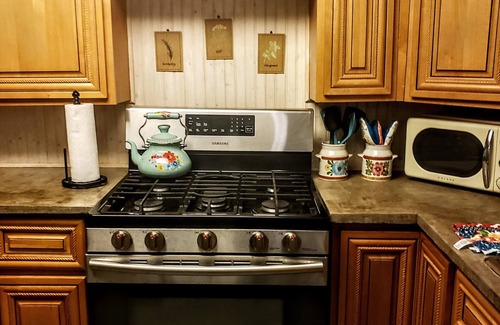 McDonough Cottage | Quaint 1930s Algiers Shotgun- 6 Min. Ferry from the French Quarter!