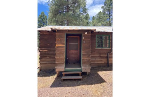 Alpine Cabin | Quaint Country Cabin in the tall pines AlpineAZ #2