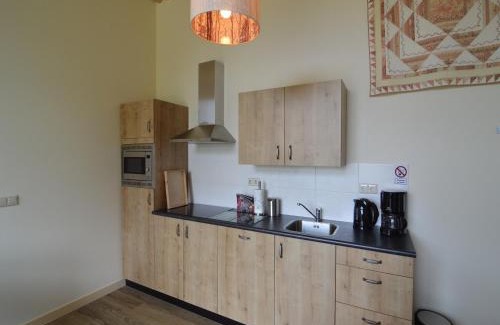 Geesteren House | Quaint Farmhouse in Geesteren with Meadow View