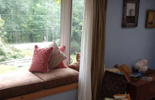 Rowland House | Quaint old canal home. Lackawaxen River views/access! Country life. Peaceful