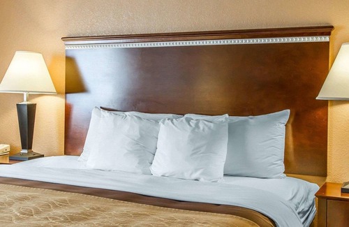Mount Pleasant Hotel | Quality Inn & Suites