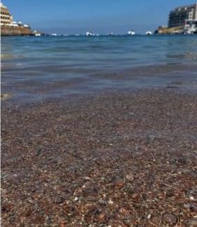 Pembroke House | Quarto em Malta