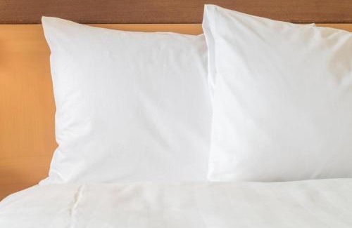 Jackson Apartment | Queen Bed Hotel Suite 127