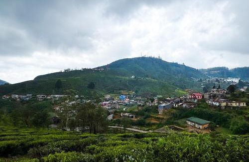 Nuwara Eliya House | Queens Gregory - Nuwara Eliya