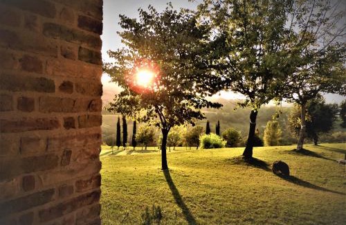 Cupramontana Bed & Breakfast | Quelli del Picchio