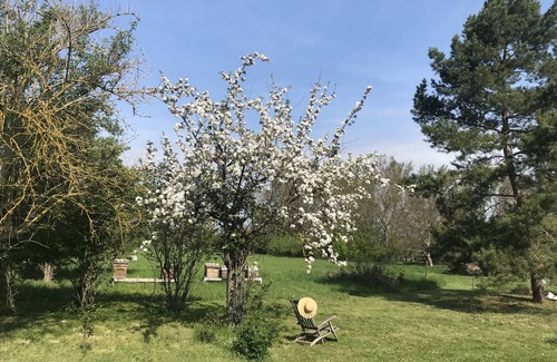 Wedderstedt Apartment | Quiet country house one-bedroom apartment with 9000 sqm garden