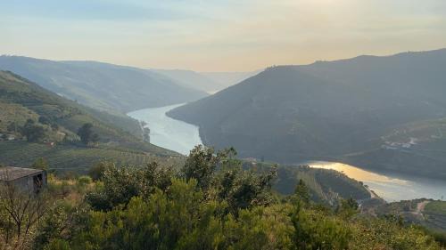 Valenca do Douro House | Quinta da Casa Cimeira, Guest House, Wines & Food