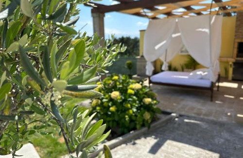 Vila Real House | Quinta da Menina Guest House
