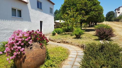 Figueiro dos Vinhos House | Quinta da Vergueira