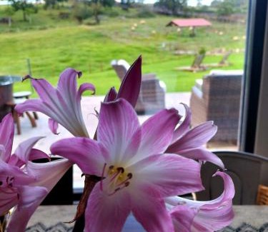 Vila do Porto House | Quinta de São José