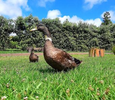 Vila do Porto House | Quinta de São José