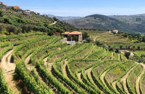 Peso da Regua House | Quinta do Barrocal - Casa de Campo