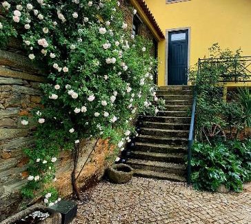 Longroiva House | Quinta do Chao D'Ordem