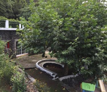 Biscoitos House | Quinta do Rossio, Rural Tourism