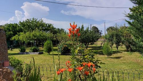 Belmonte House | Quinta do Serrado de Belmonte
