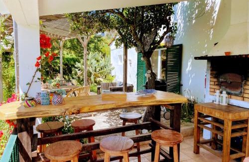 Alvaiazere House | Quinta Vida Verde