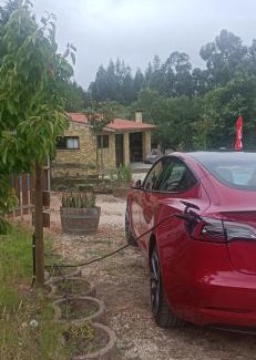 Figueiro dos Vinhos House | Quintinha do Casal Ruivo