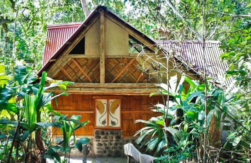 Canoa Cabin | Río Muchacho Organic Farm