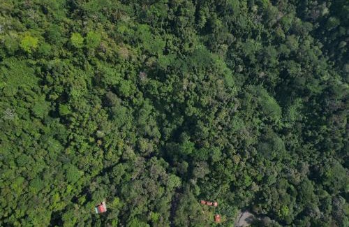 Quebrada La Gamba Cabin | Río Verde Ecolodge